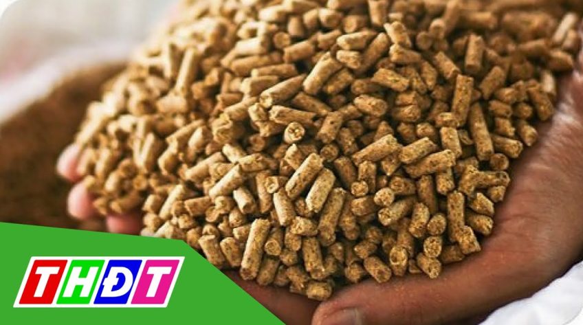 Giá nguyên liệu làm thức ăn chăn nuôi tăng cao