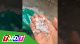 Trao bằng khen các cơ sở tôn giáo đóng góp công tác phòng chống dịch Covid-19