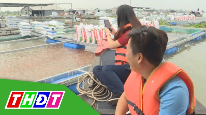 Đồng Tháp: Hội quán cùng nhau làm du lịch khai thác dịch vụ trên sông