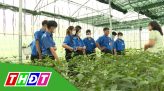 An toàn cho ngôi nhà trong mùa mưa bão