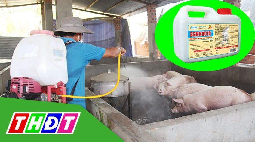 Đồng Tháp đề nghị Trung ương hỗ trợ thêm 20.000 lít hóa chất Benkocid