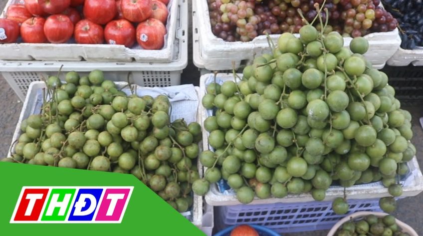 Vừa vào mùa, dâu nhanh chóng rớt giá