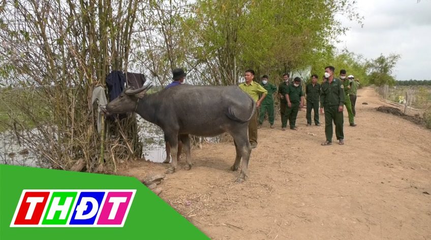 Bắt 31 vụ chăn thả gia súc vào Vườn quốc gia Tràm Chim