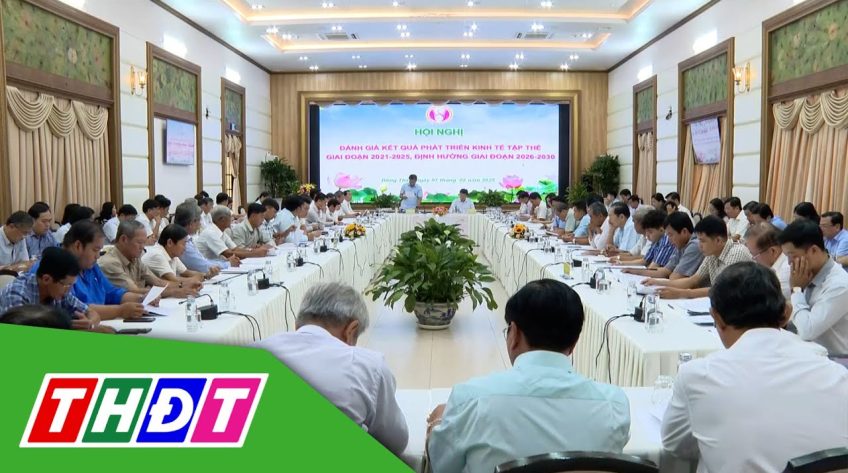 Đồng Tháp: Tập trung phát triển kinh tế tập thể bền vững