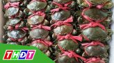 “Rà soát, bãi bỏ ngay quy định không phù hợp để hàng hóa được lưu thông thông suốt”