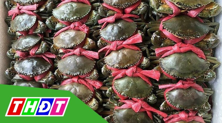 Cua Cà Mau ế ẩm, rớt giá mạnh