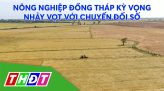 Năm 2022: Đồng Tháp thêm bước chuyển trong lao động - việc làm