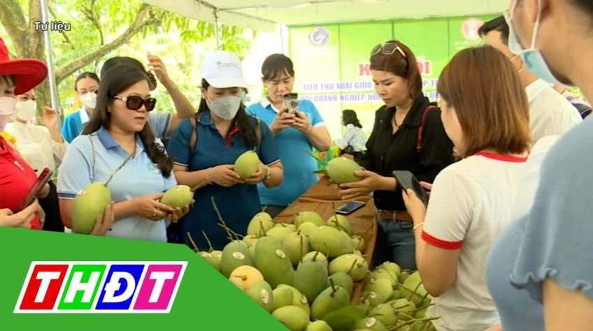 Đồng Tháp: Lễ hội Xoài Cao Lãnh năm 2022 diễn ra từ ngày 05 – 08/7