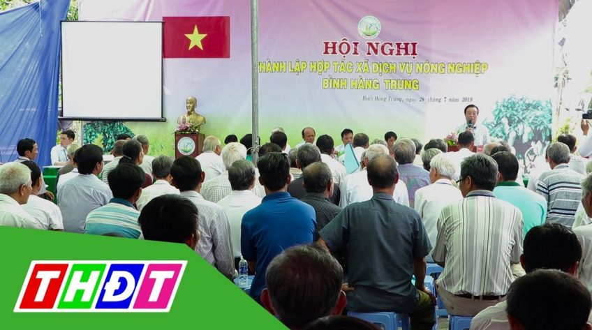 Đồng Tháp: Thành lập HTX thứ 4 từ Hội quán