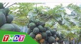 Kỳ vọng của người dân Đồng Tháp vào Đại hội XIII của Đảng