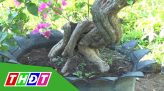 Chính thức tiêm vắc xin Covid-19 tại Việt Nam