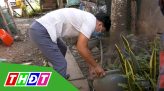 Khai mạc Hội thao các đài PTTH cụm Bắc sông Hậu