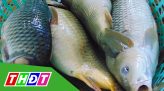 Giá hoa huệ trắng tăng gấp đôi