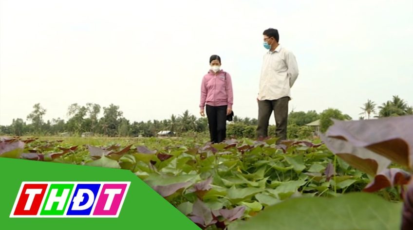 Ngành nông nghiệp chủ động thích ứng với mùa khô
