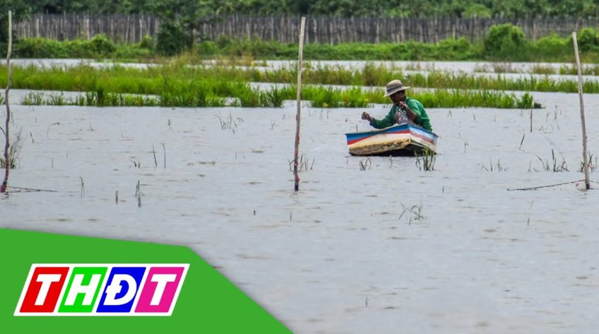 Diễn biến mùa nước nổi 2022