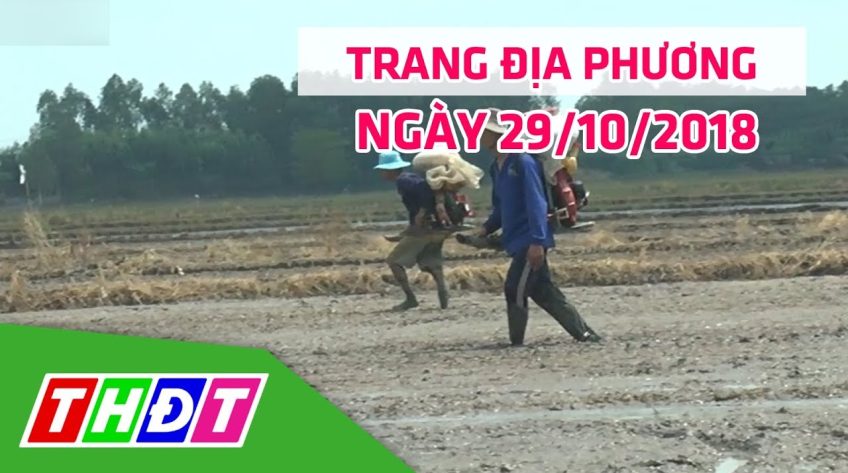 Trang địa phương | 29/10/2018 | H.Tháp Mười - Trở lại vùng đê bao sạt lở | THDT