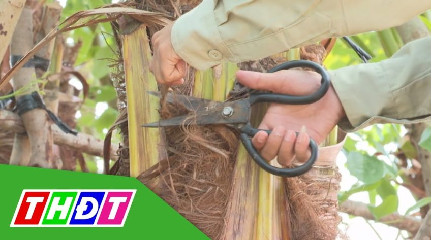 9x đam mê khởi nghiệp từ cây xanh công trình