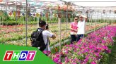 Ước vọng đầu Xuân