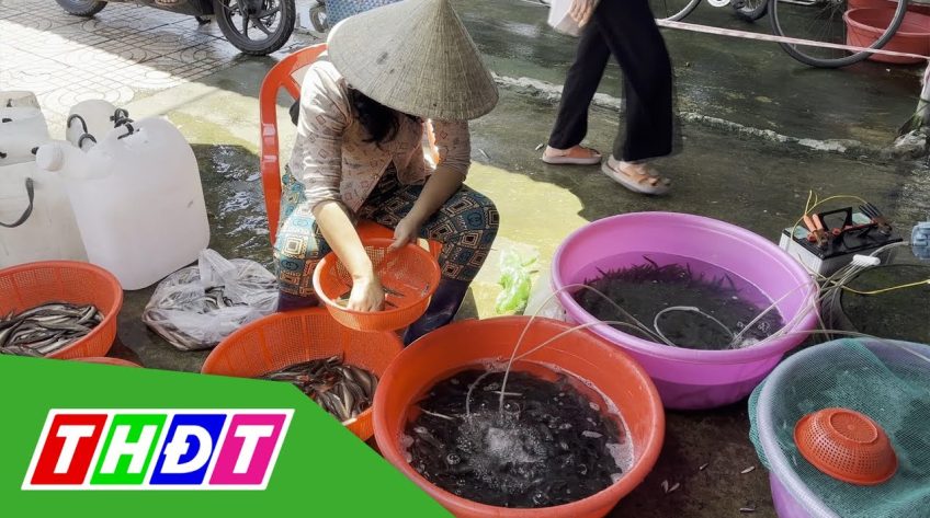 Sản vật mùa nước nổi giá cao hơn cùng kỳ