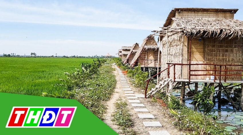 Lán trại giữa đồng thu hút du khách TP. HCM đến trải nghiệm