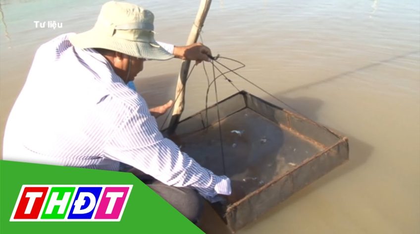 Nước lũ thấp, người làm sinh kế mùa lũ ở Đồng Tháp vẫn có lợi nhuận