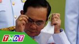 Cây me trên 200 năm tuổi đạt kỷ lục Việt Nam
