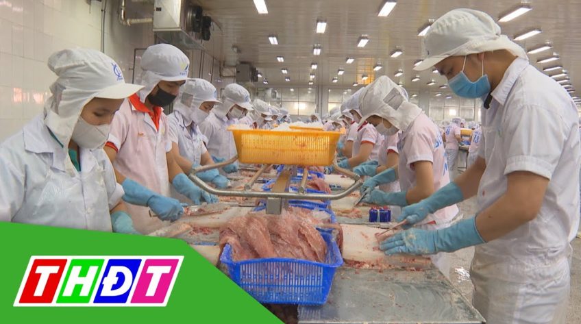 Giải bài toán nhân lực ngành chế biến thủy sản