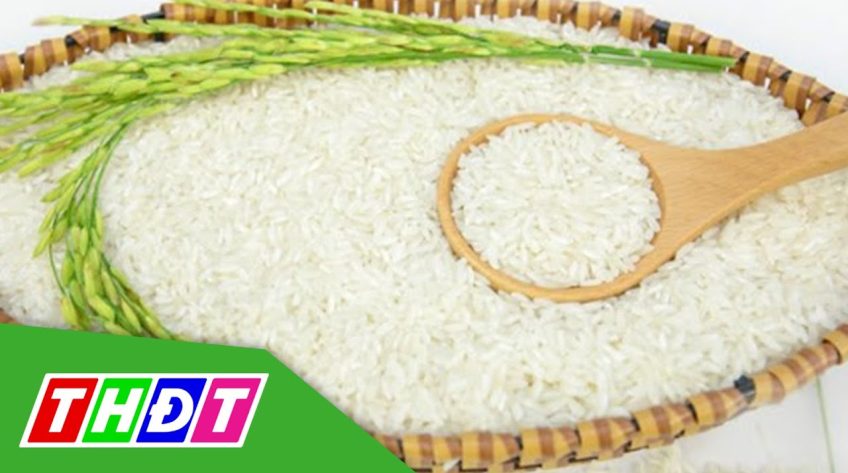 Giá gạo 5% tấm tăng cao nhất trong 10 năm