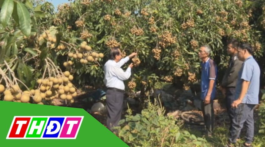 Đồng Tháp: Phát triển kinh tế nông nghiệp và xây dựng nông thôn mới