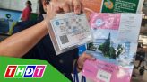 Ngắm bó hoa cẩm tú cầu cao gần 5 mét ở Sa Đéc
