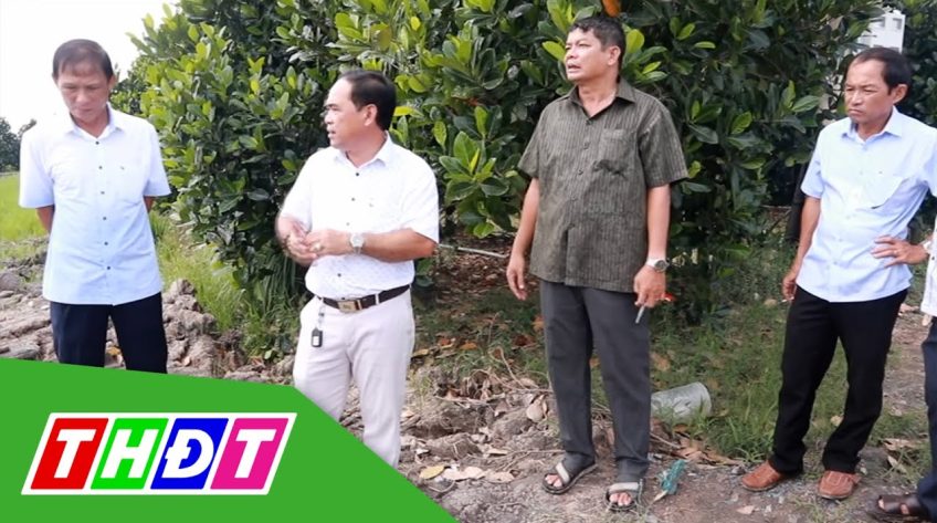Doanh nghiệp Sóc Trăng, khảo sát du lịch sinh thái tại Đồng Tháp