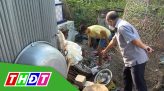 Lễ giỗ lần thứ 229 Thư Ngọc hầu Nguyễn Văn Thư