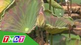 Báo động tình trạng đuối nước ở trẻ em