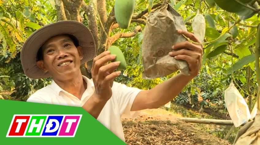 Ước vọng đầu Xuân