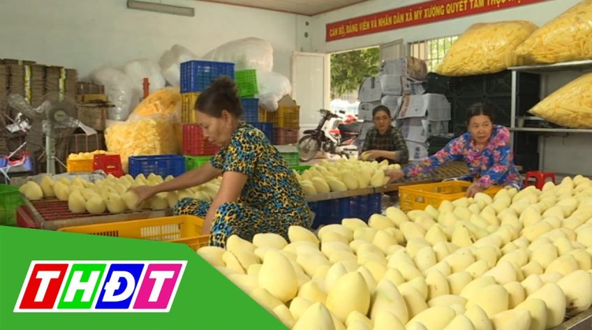 Nông sản Đồng Tháp chinh phụ thị trường xuất khẩu