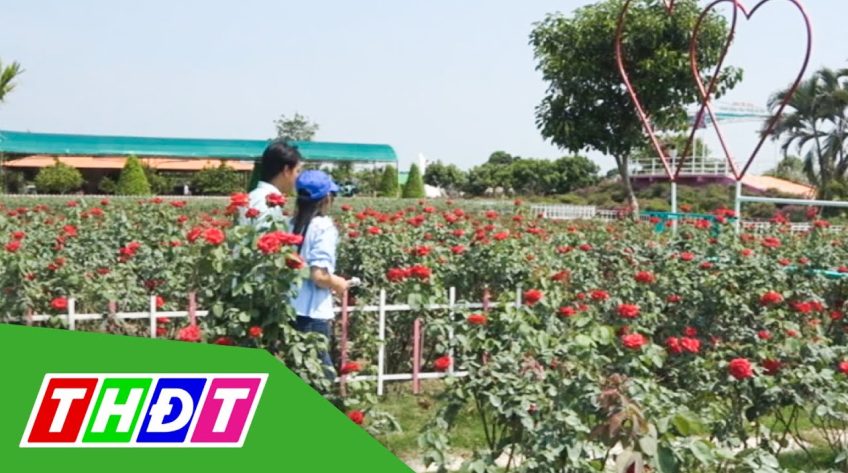 Du lịch Đồng Tháp sẵn sàng phục vụ khách Liên hoan Phát thanh