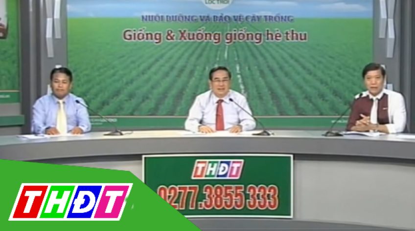 Tư vấn khuyến nông - 15/03/2019: Giống và xuống giống vụ Hè Thu