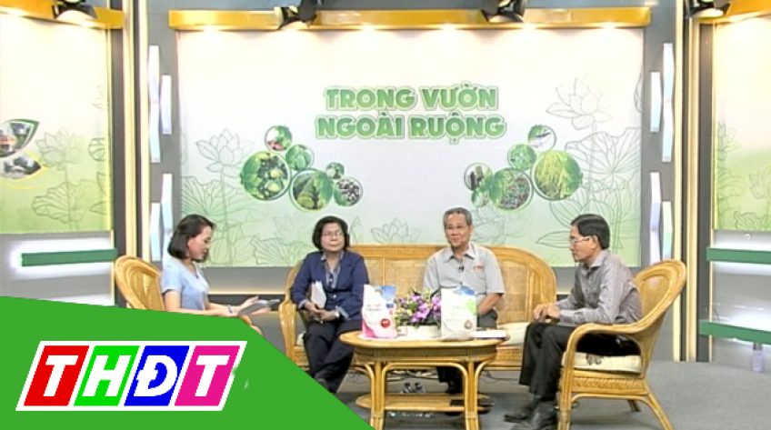 Trong vườn - Ngoài ruộng - 01/03/2019: Bán nông sản qua Trung Quốc