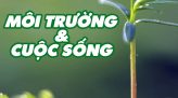Thắp sáng ước mơ - 03/5/2024: Sinh viên Nguyễn Thị Ngọc Nhiên