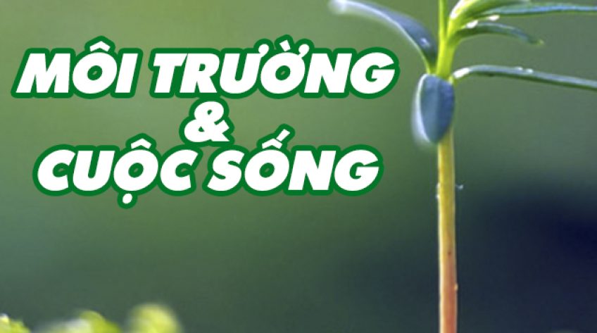 Môi trường cuộc sống - 29/5/2019