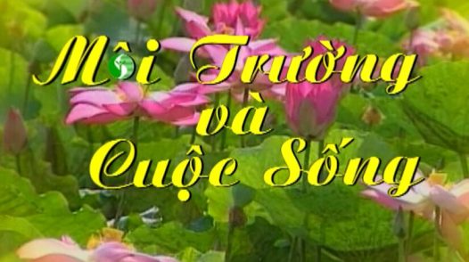 Môi trường và cuộc sống - 06/9/2025: Trung tâm quan trắc tài nguyên và môi trường tỉnh Đồng Tháp