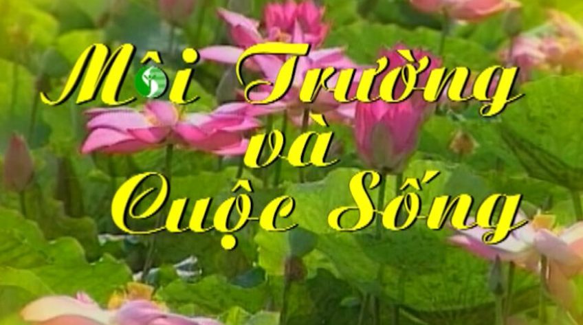 Môi trường và cuộc sống - 28/12/2025: Đồng Tháp tăng cường thu gom, xử lý rác thải sinh hoạt