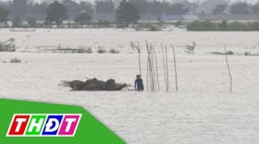 Nước đã tràn đồng khu vực đầu nguồn Đồng Tháp