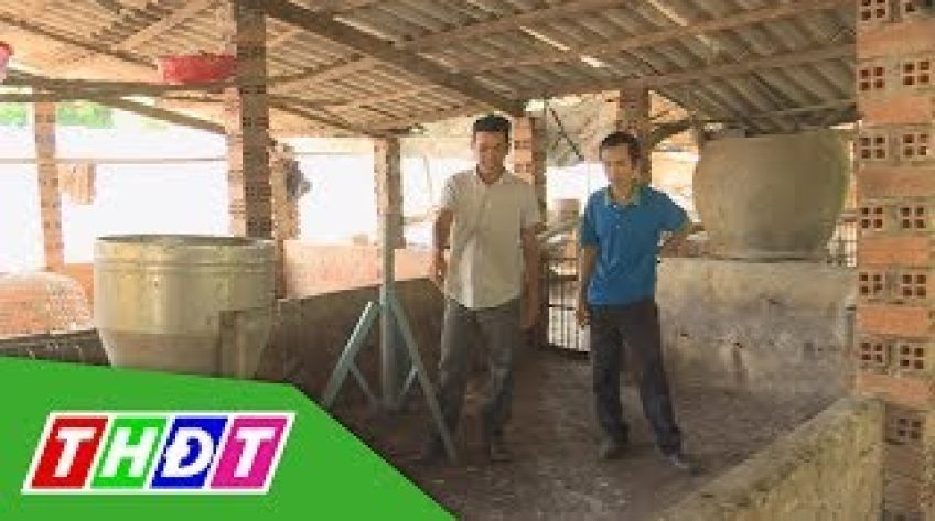 Khan hiếm nguồn heo giống để tái đàn