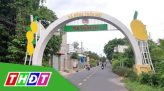 Ngôi nhà tole, gỗ được báo chí thế giới quan tâm ở An Giang