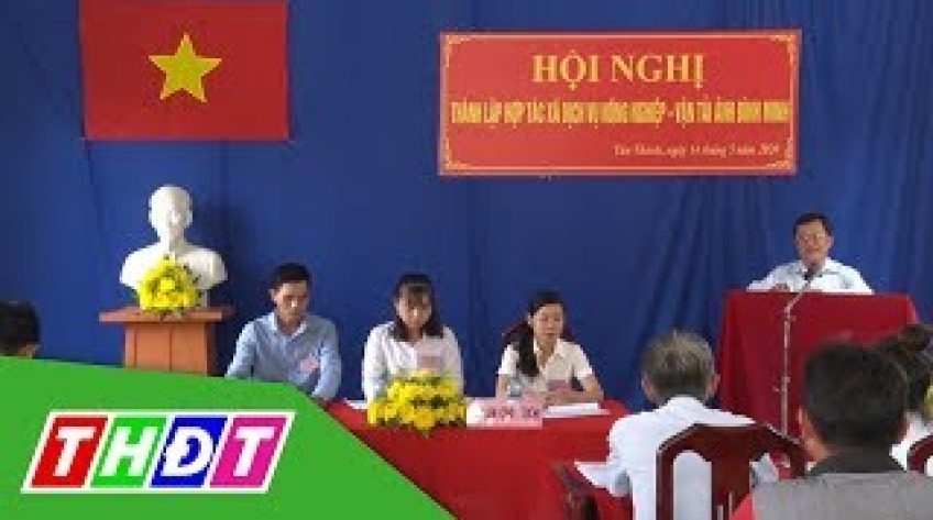 Lai Vung: Thành lập HTX Dịch vụ nông nghiệp - Vận tải đầu tiên