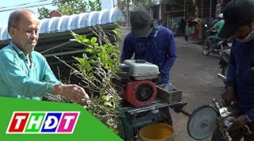 Nghề lặt lá mai và nghề đánh bóng lư đồng vào mùa Tết