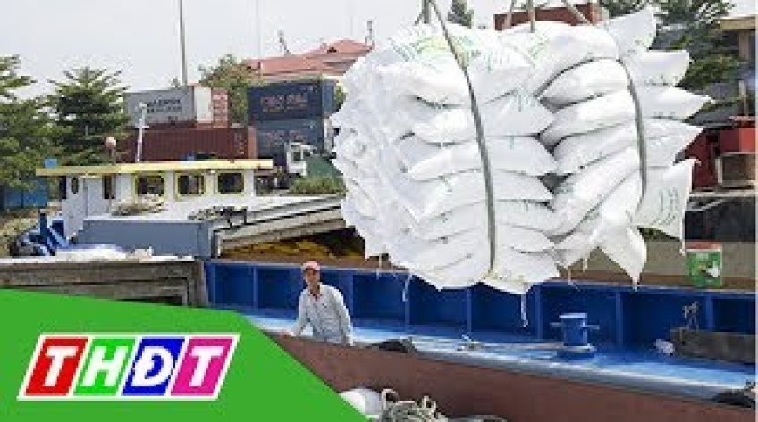 Lập đoàn kiểm tra liên ngành nắm tình hình gạo tại các cảng