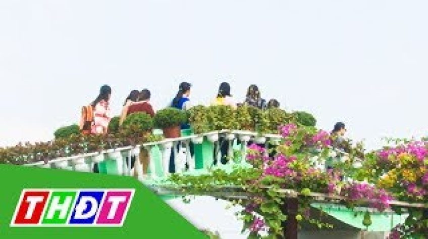 Hoa Sa Đéc lên giàn đón khách tham quan