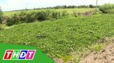 Bảo tàng của những người làm báo